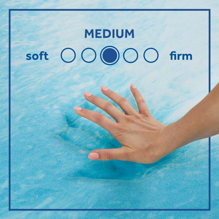 Sealy Essentials 3" Memory Foam Mattress Topper & Reviews Wayfair